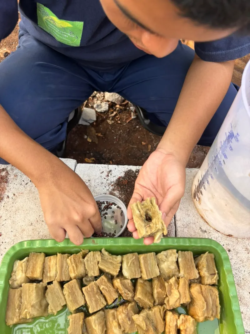 Lahan Urban Farming SLBN 01 Lebak Bulus - Gambar 34