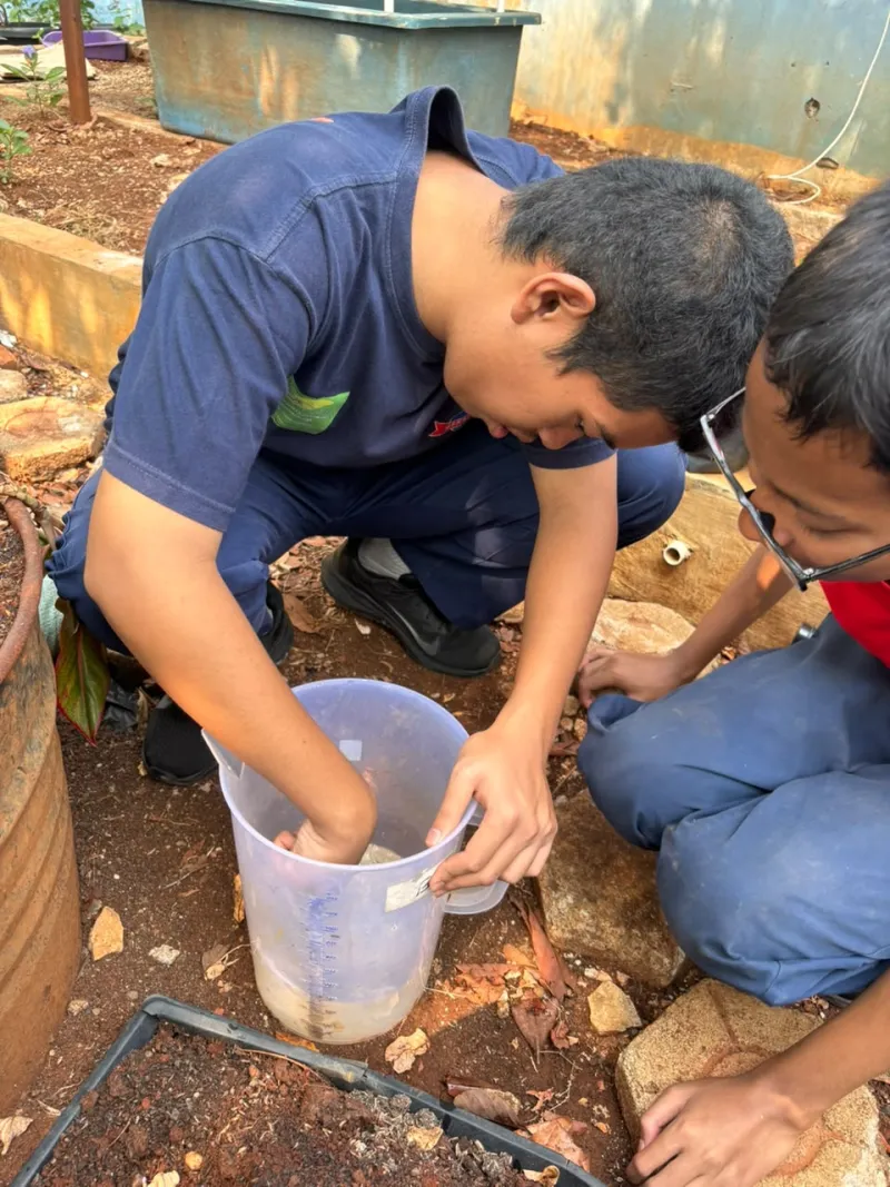 Lahan Urban Farming SLBN 01 Lebak Bulus - Gambar 36