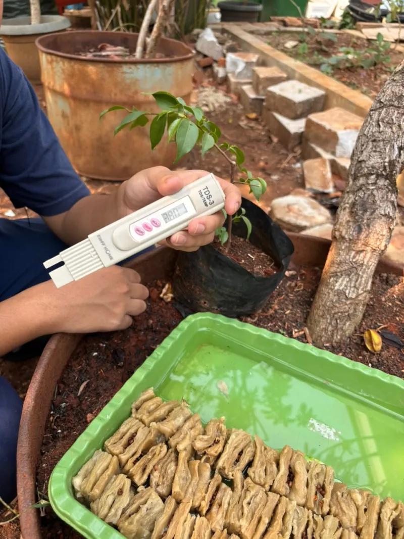 Lahan Urban Farming SLBN 01 Lebak Bulus - Gambar 35