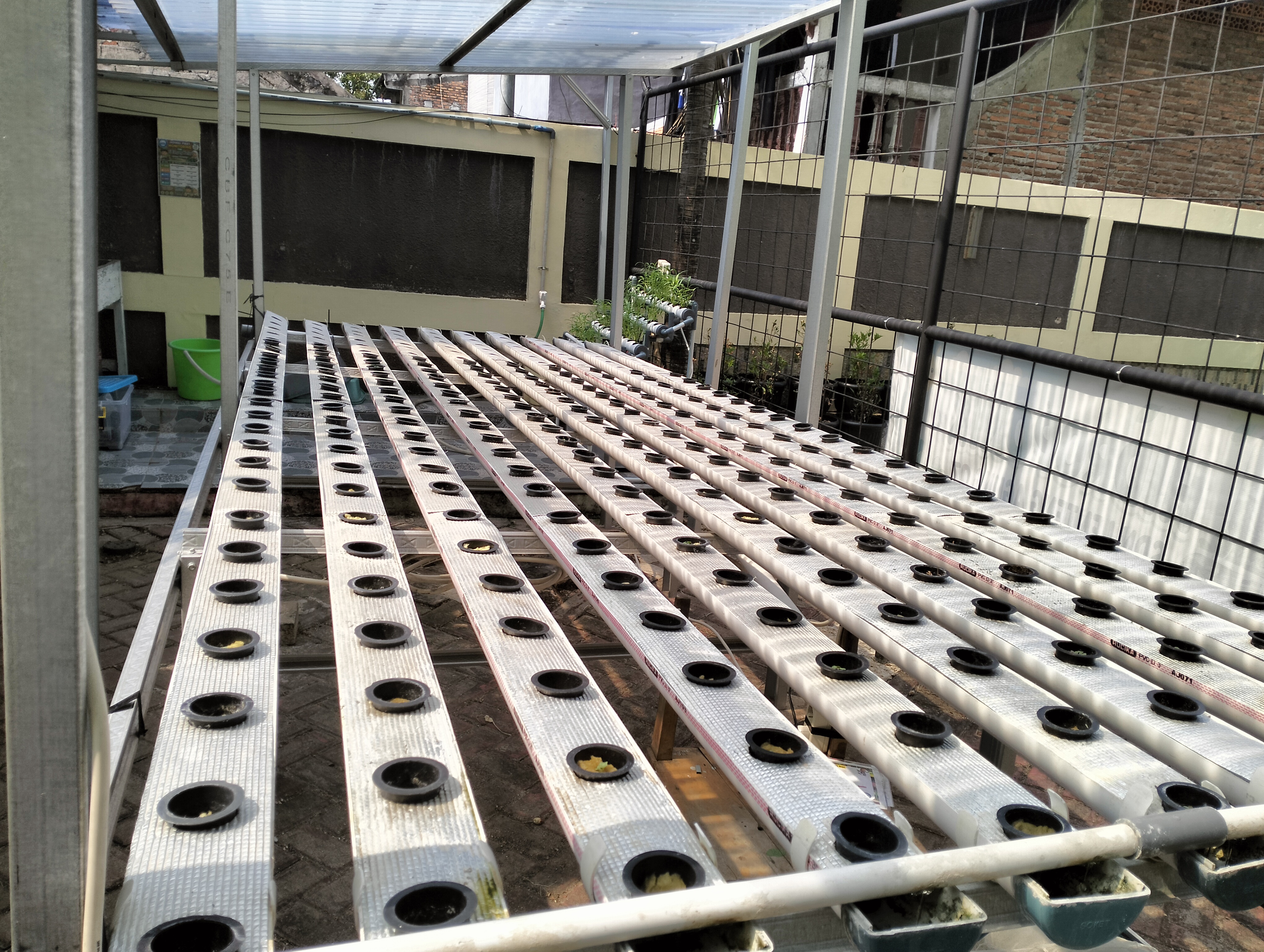 Lahan Urban Farming SDN Lenteng Agung 07 Jakarta - Gambar 60