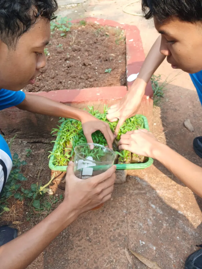 Lahan Urban Farming SMAN 109 Jakarta - Gambar 141
