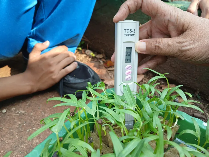Lahan Urban Farming SMAN 109 Jakarta - Gambar 142