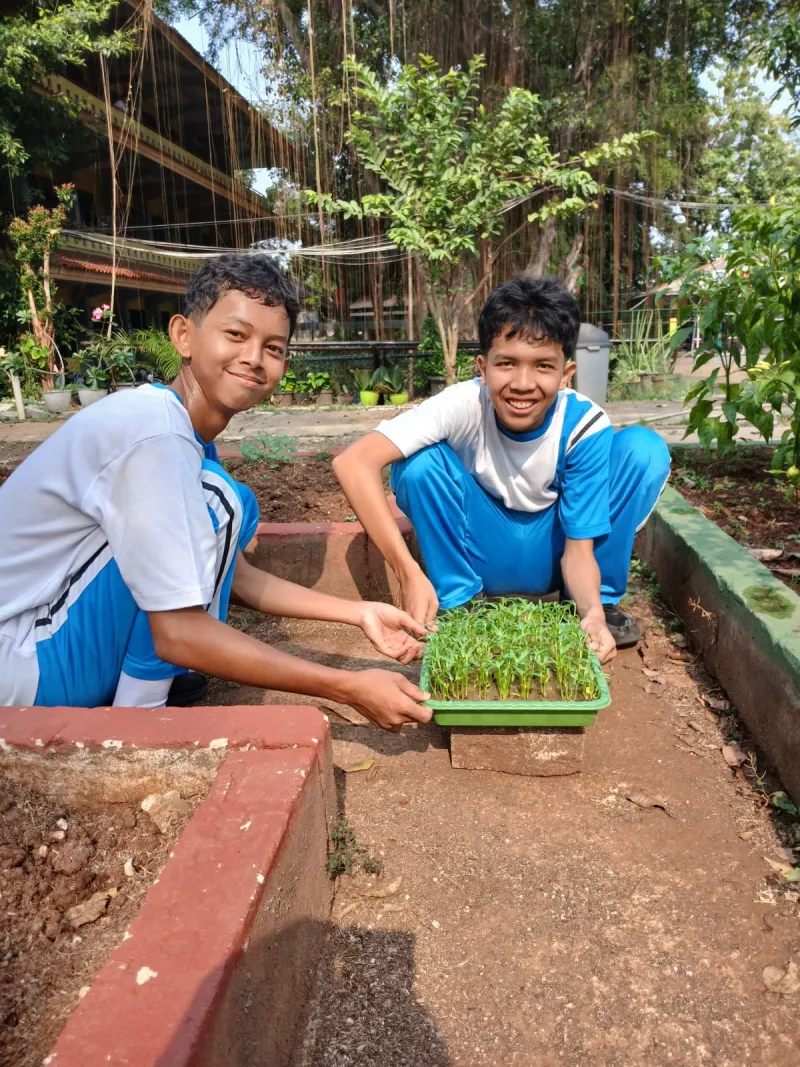 Lahan Urban Farming SMAN 109 Jakarta - Gambar 140