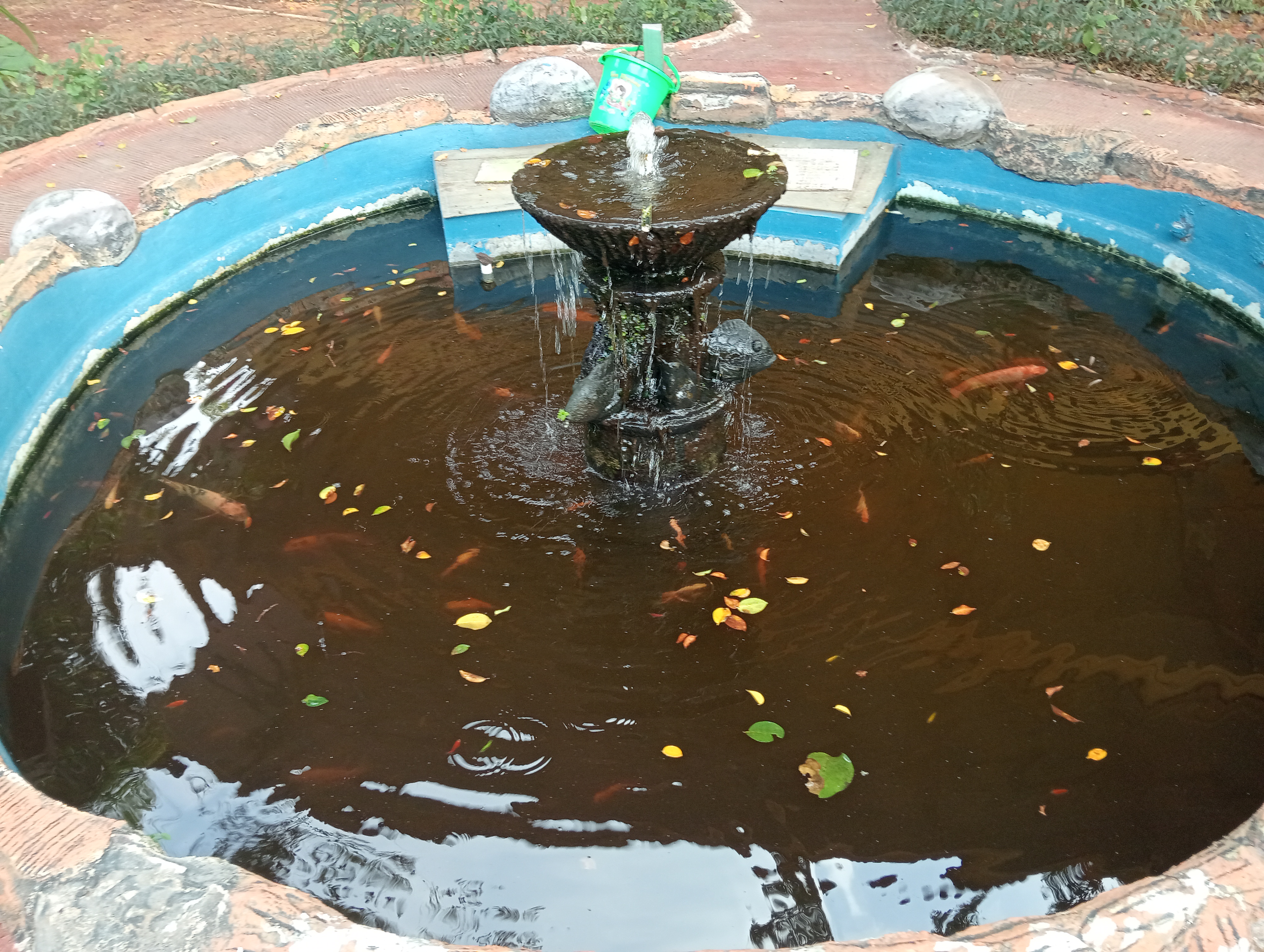 Lahan Urban Farming SMAN 109 Jakarta - Gambar 133