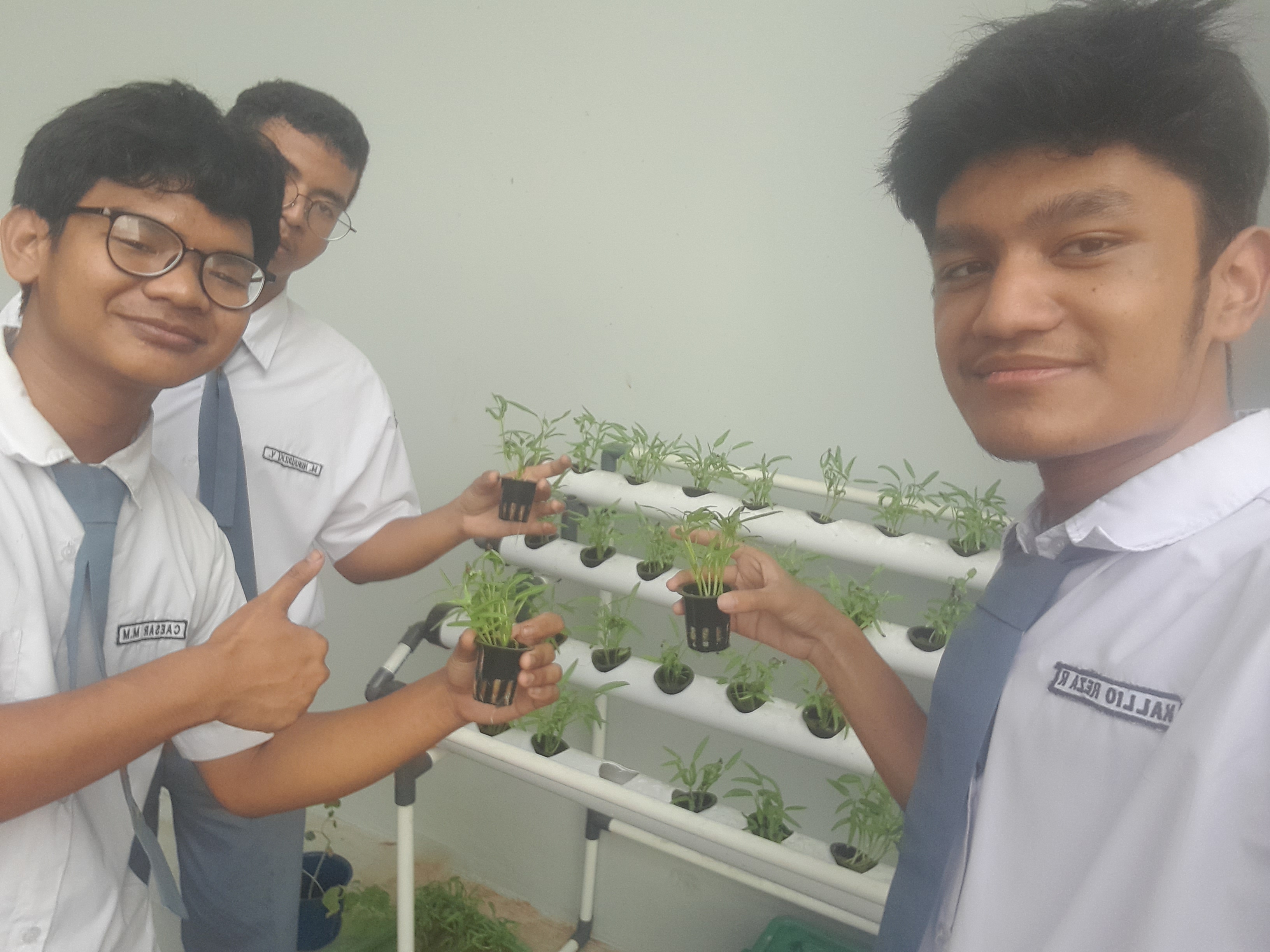 Lahan Urban Farming SMAN 116 Jakarta - Gambar 68