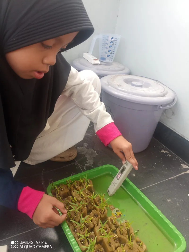 Lahan Urban Farming SDN Cipete Selatan 03 - Gambar 72