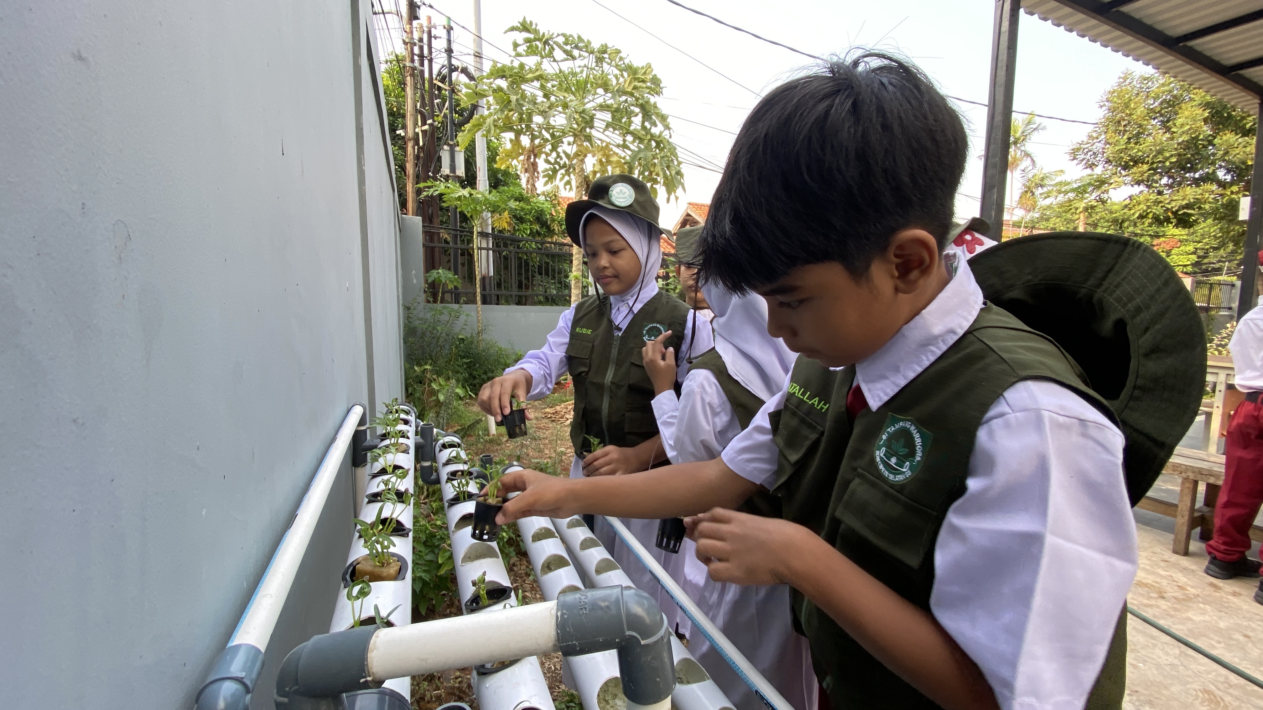 Lahan Urban Farming SDN Cipete Selatan 03 - Gambar 65