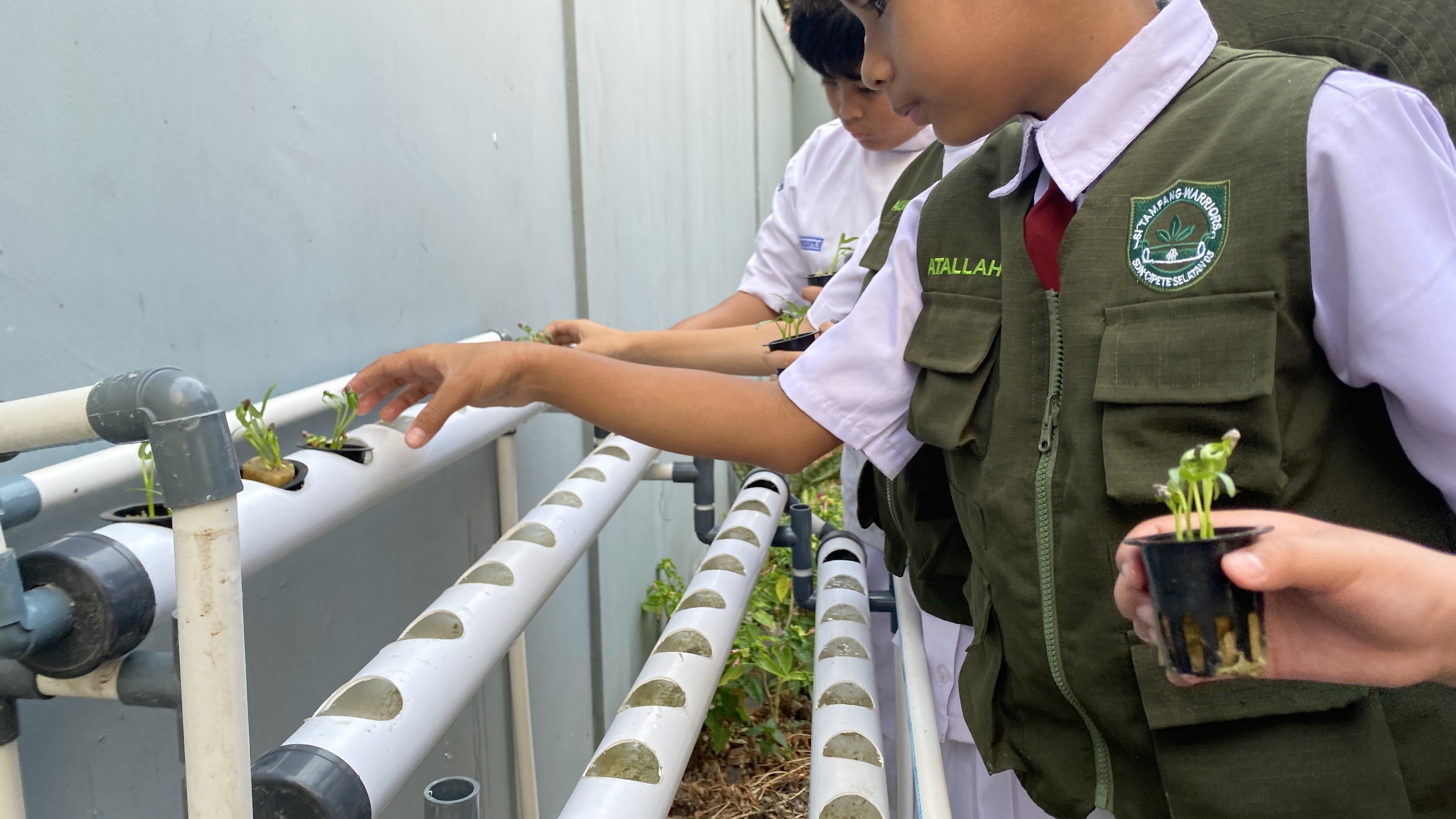 Lahan Urban Farming SDN Cipete Selatan 03 - Gambar 60