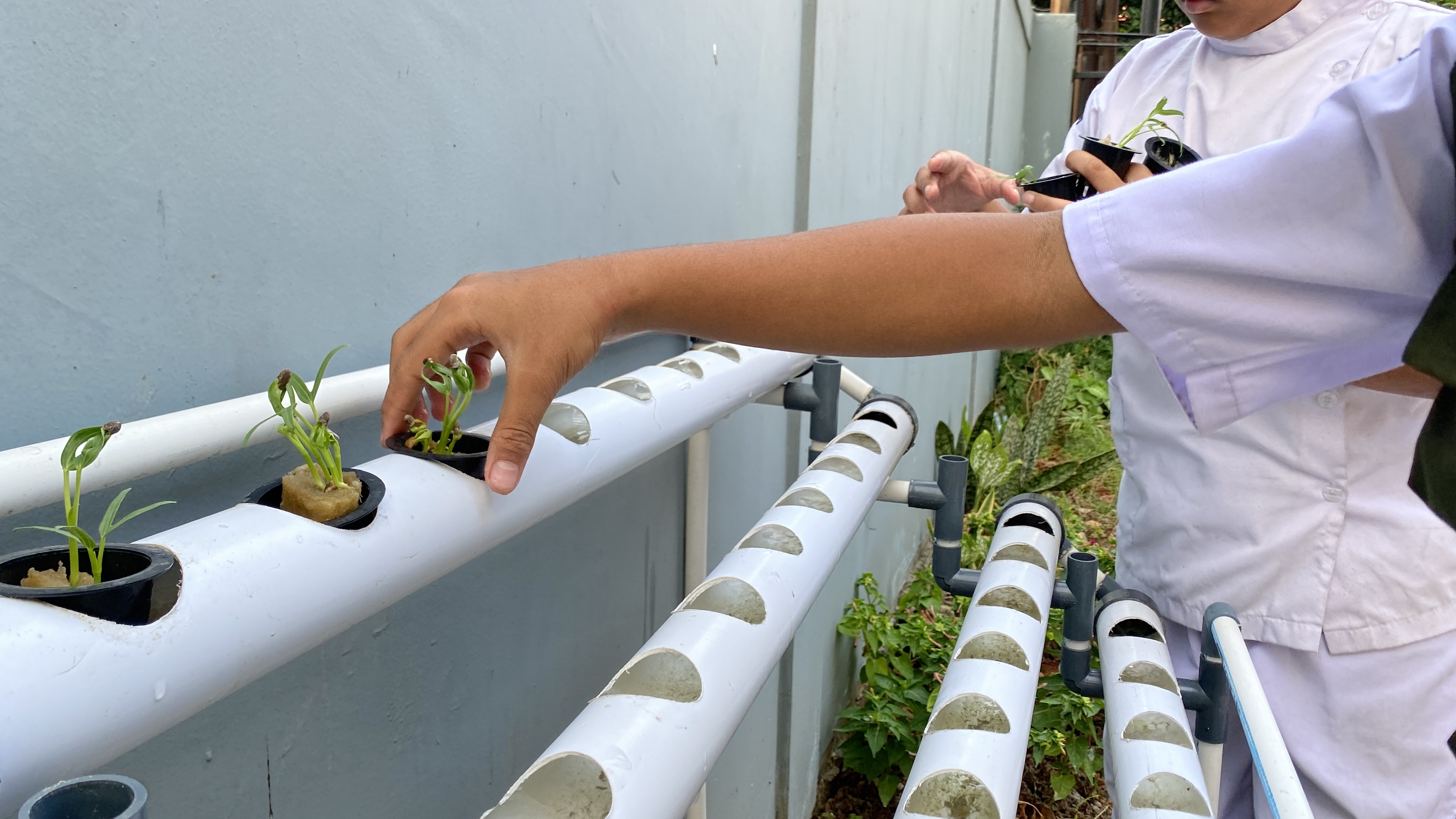 Lahan Urban Farming SDN Cipete Selatan 03 - Gambar 58