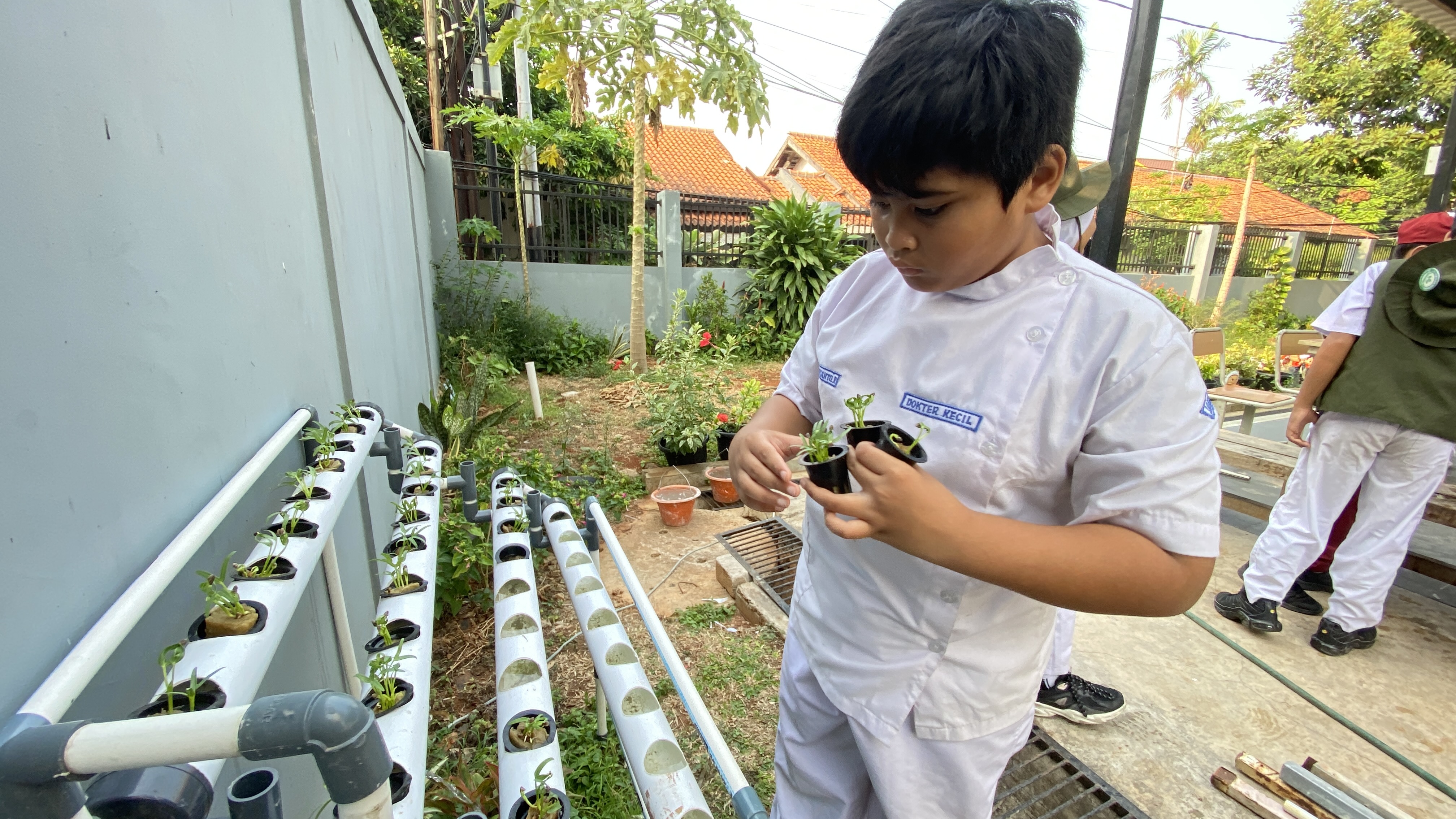 Lahan Urban Farming SDN Cipete Selatan 03 - Gambar 67