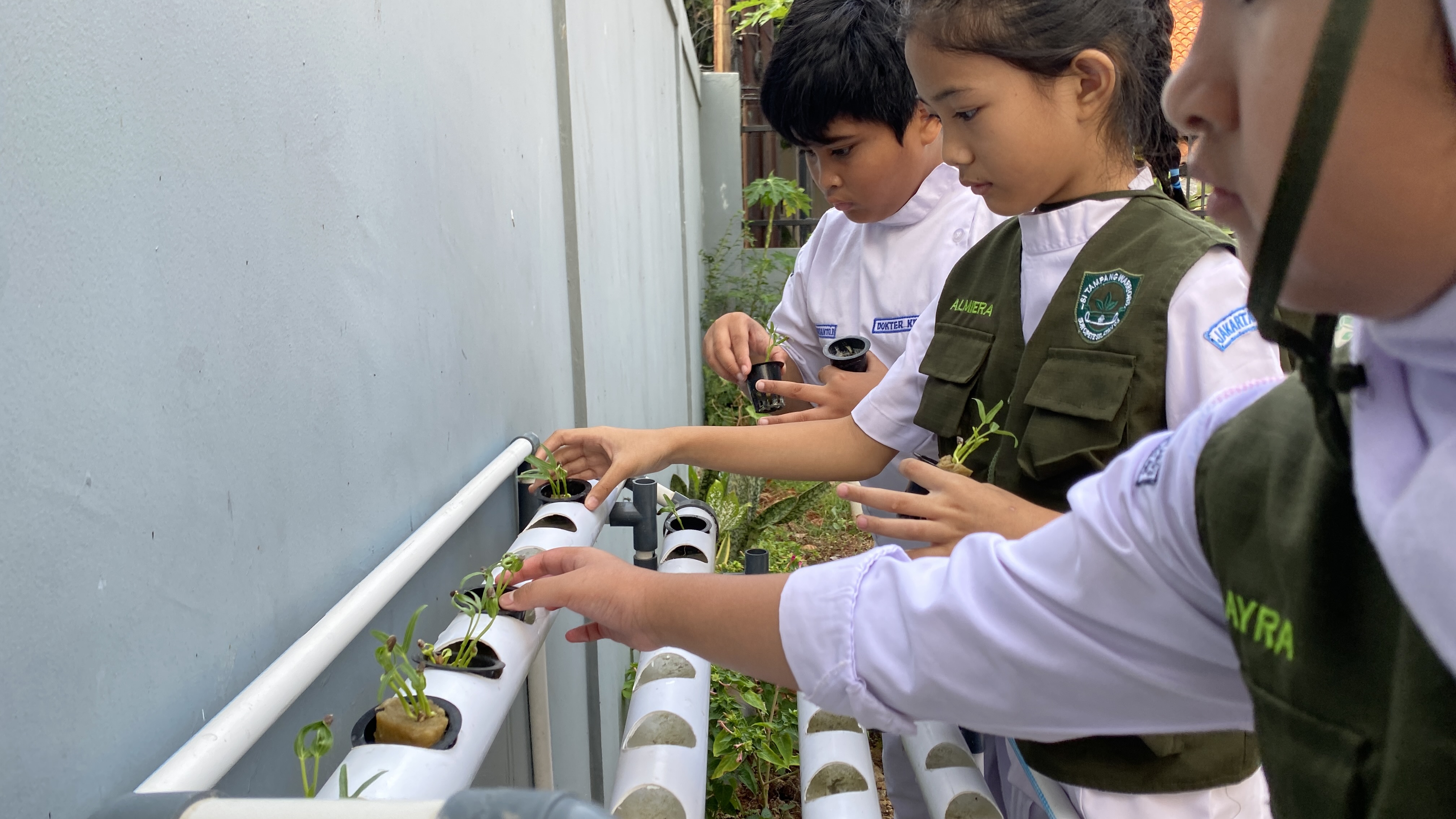 Lahan Urban Farming SDN Cipete Selatan 03 - Gambar 61