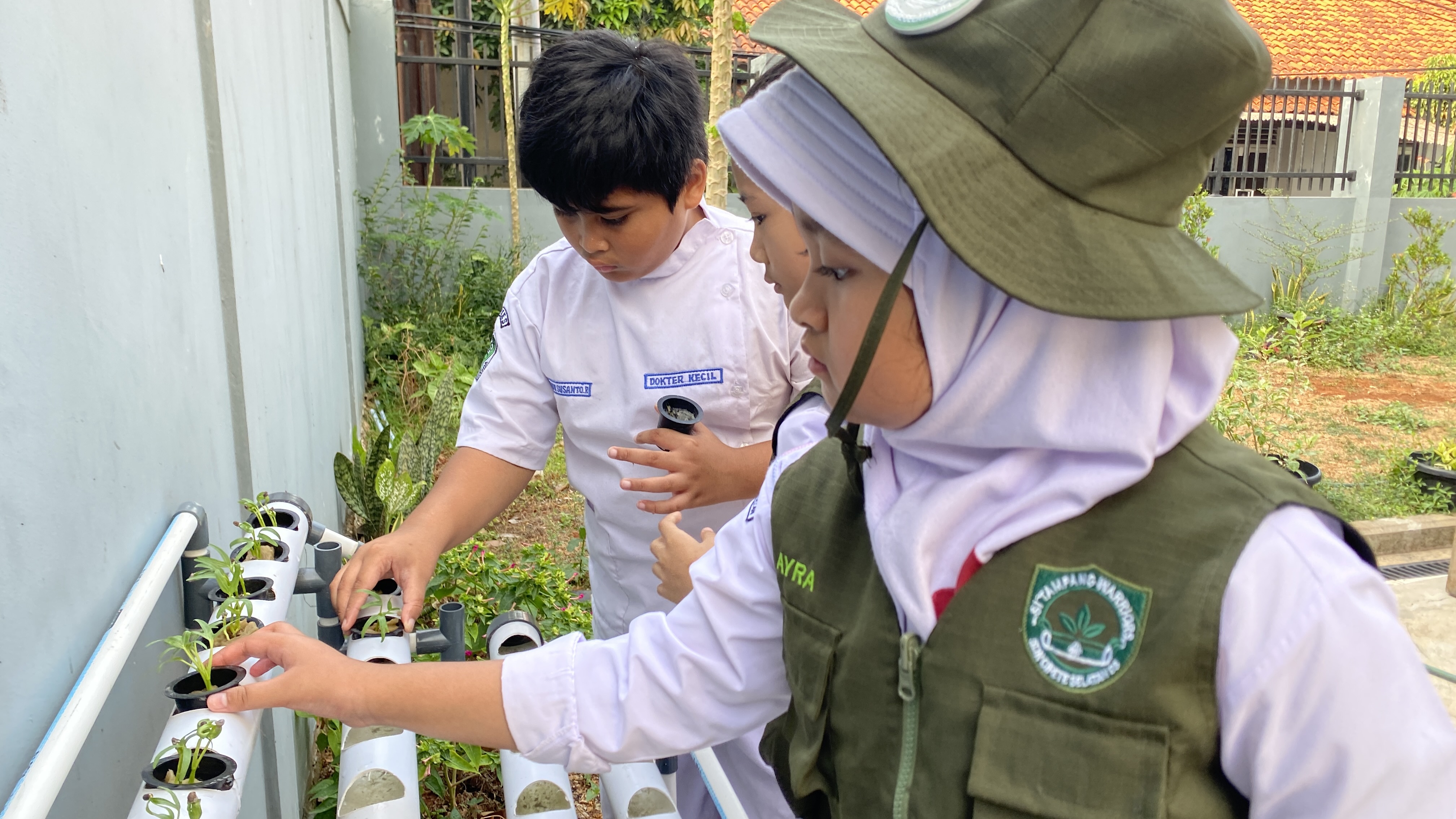 Lahan Urban Farming SDN Cipete Selatan 03 - Gambar 62