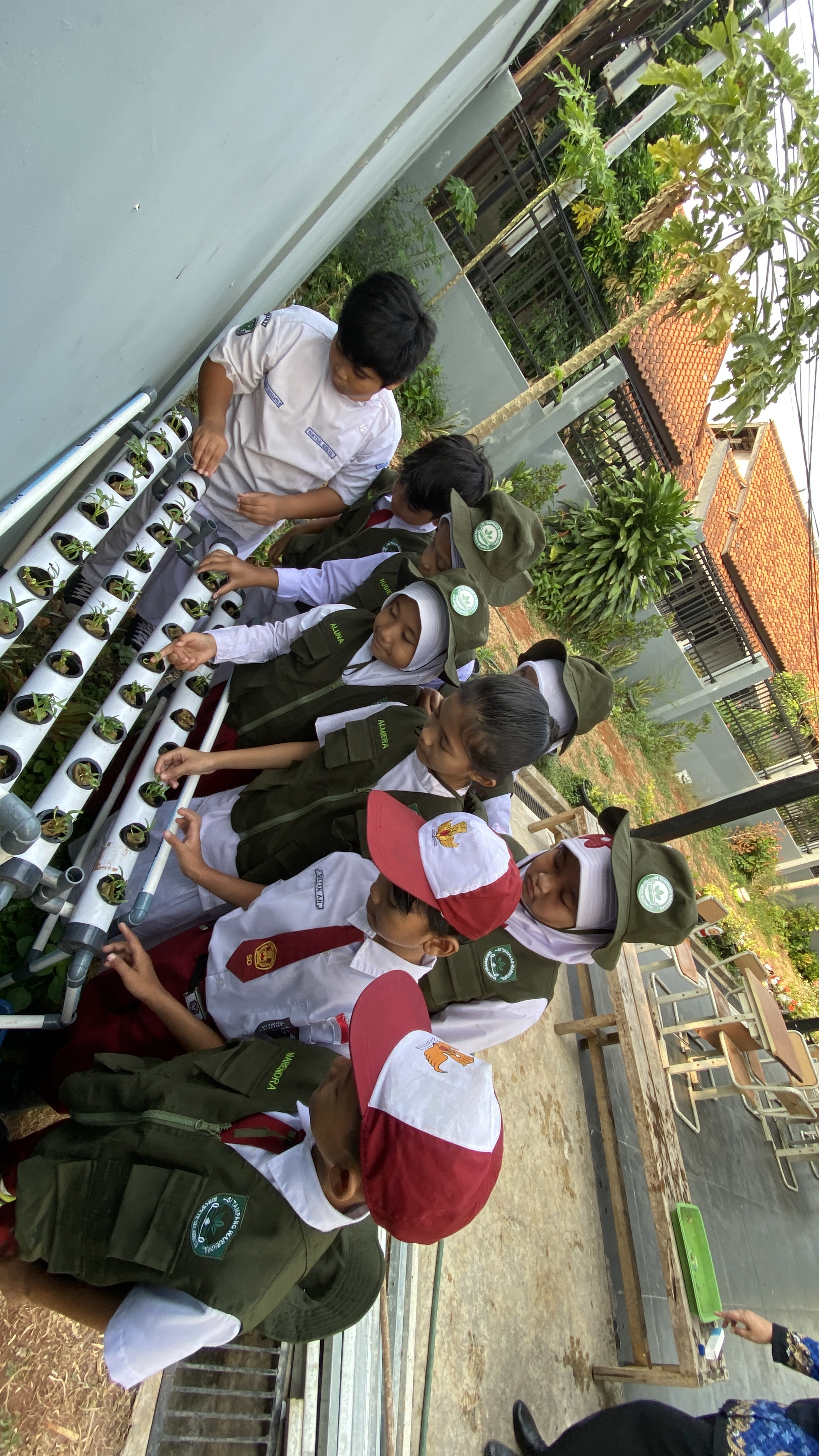 Lahan Urban Farming SDN Cipete Selatan 03 - Gambar 68
