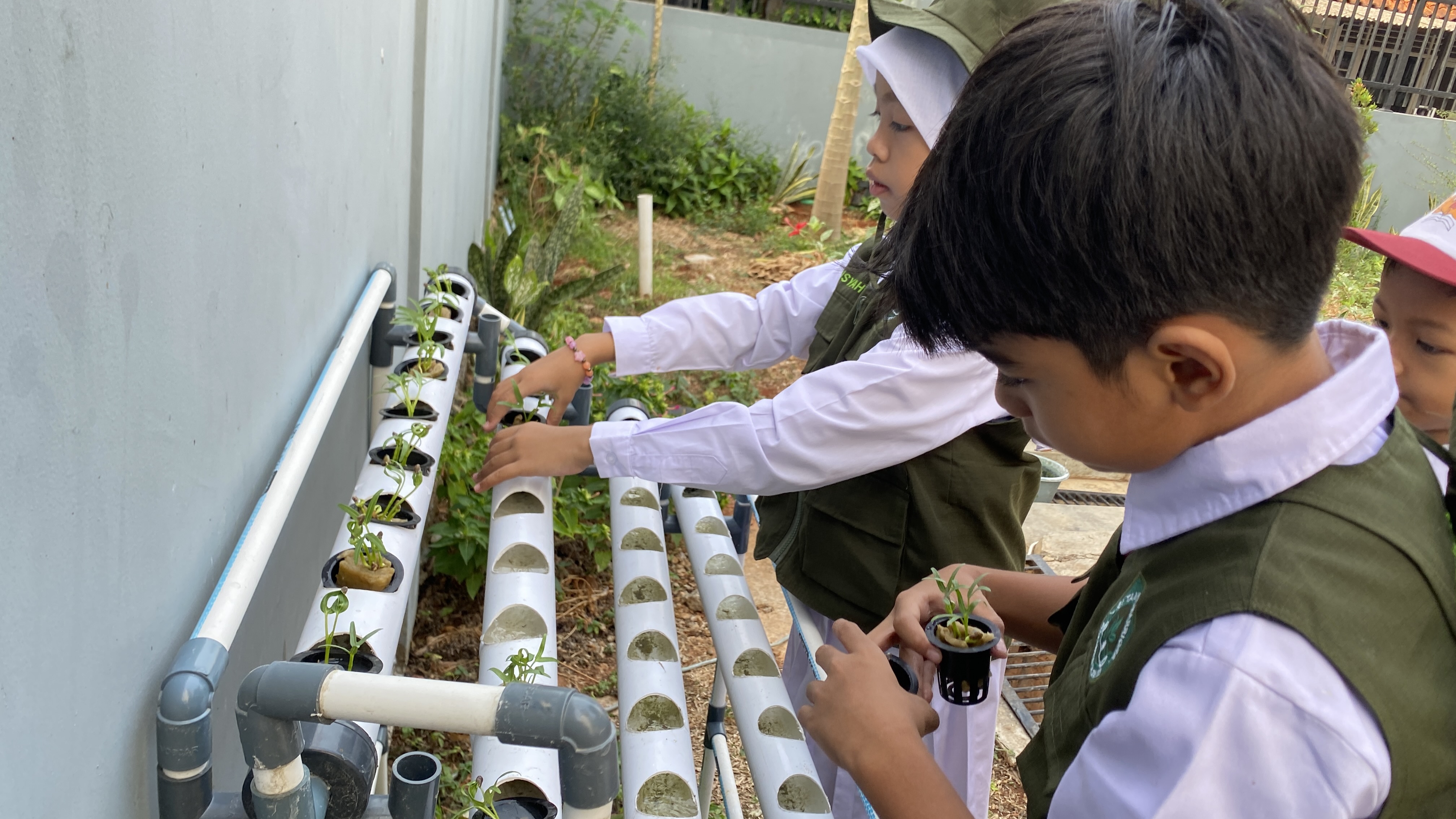 Lahan Urban Farming SDN Cipete Selatan 03 - Gambar 64