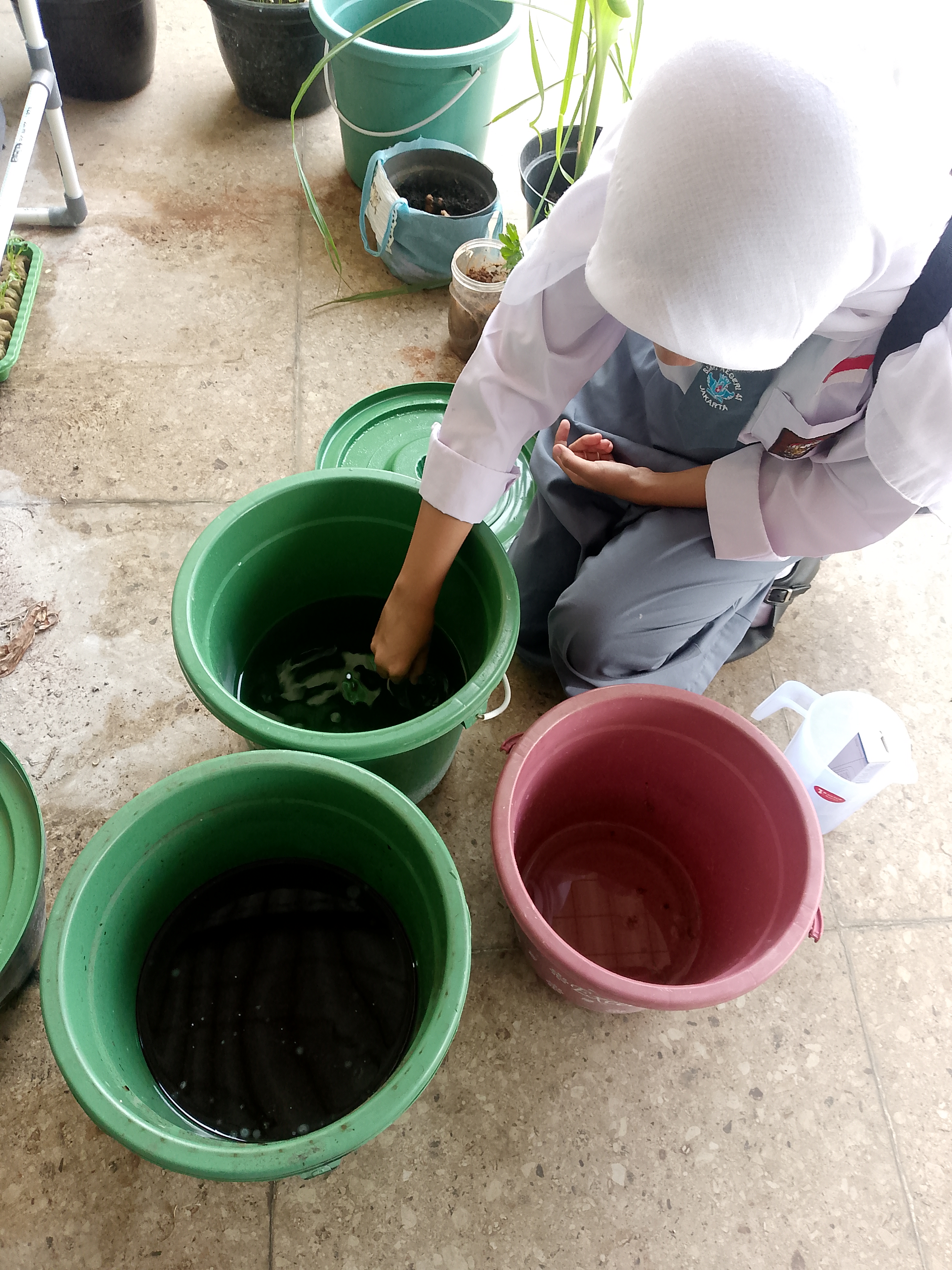 Lahan Urban Farming SMKN 41 Jakarta - Gambar 28