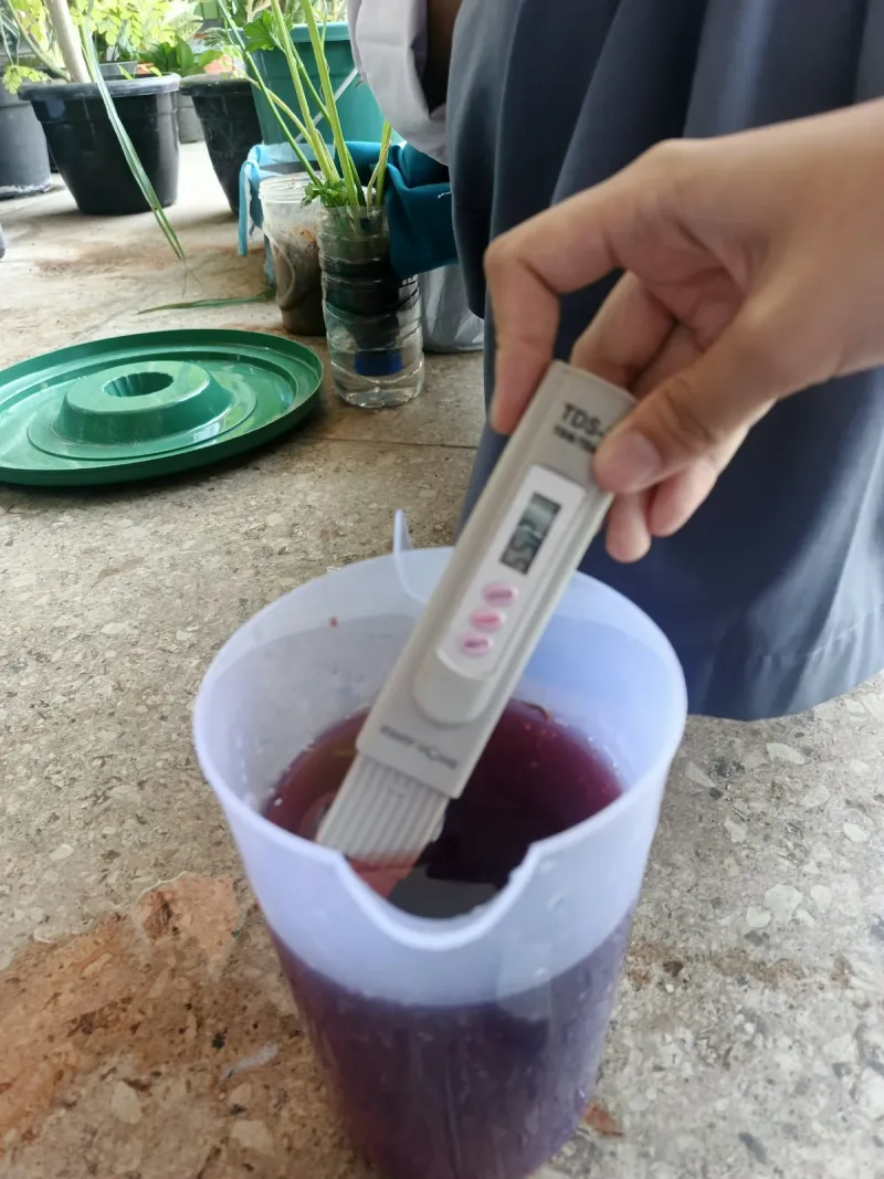 Lahan Urban Farming SMKN 41 Jakarta - Gambar 31