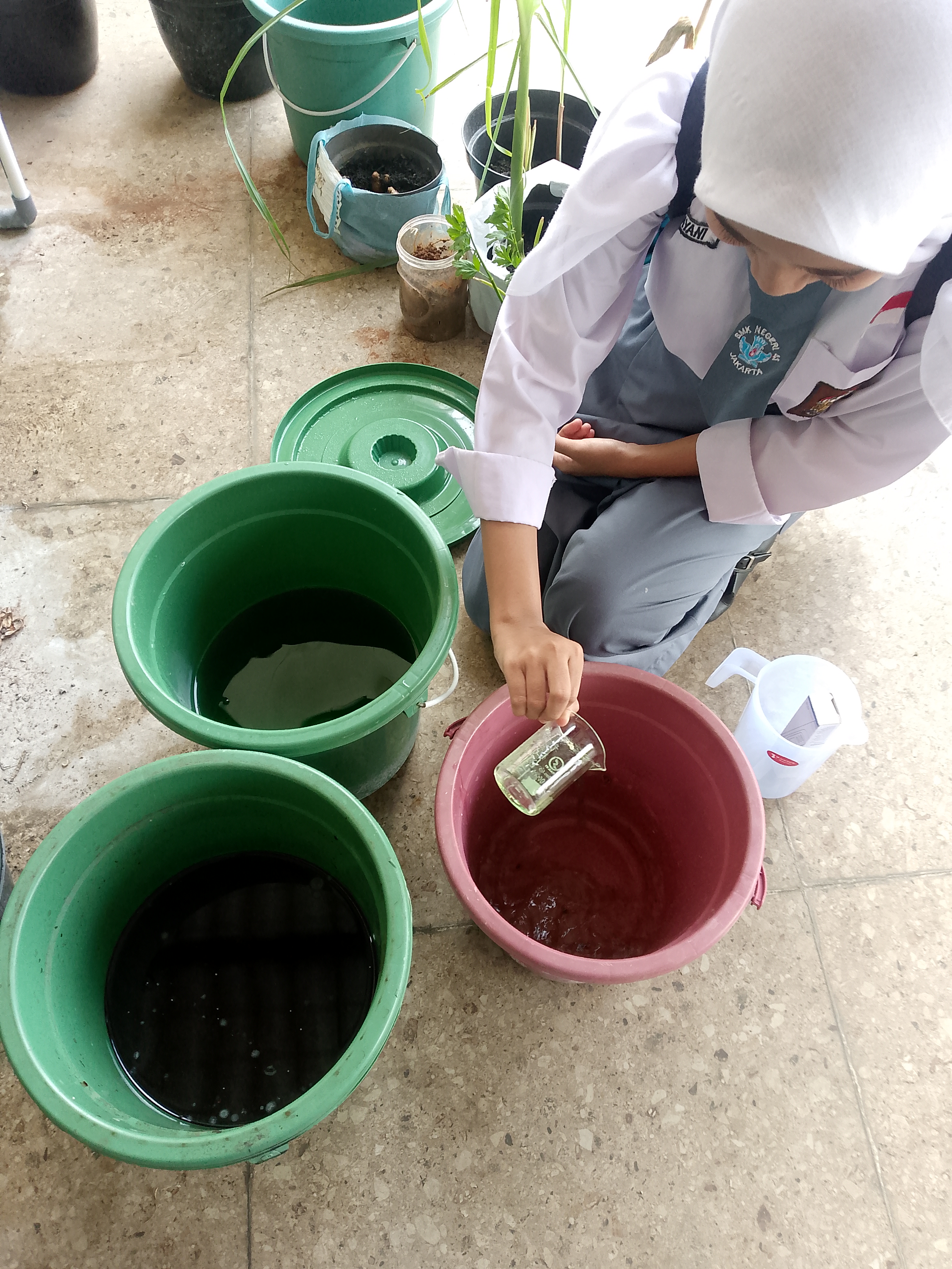Lahan Urban Farming SMKN 41 Jakarta - Gambar 27