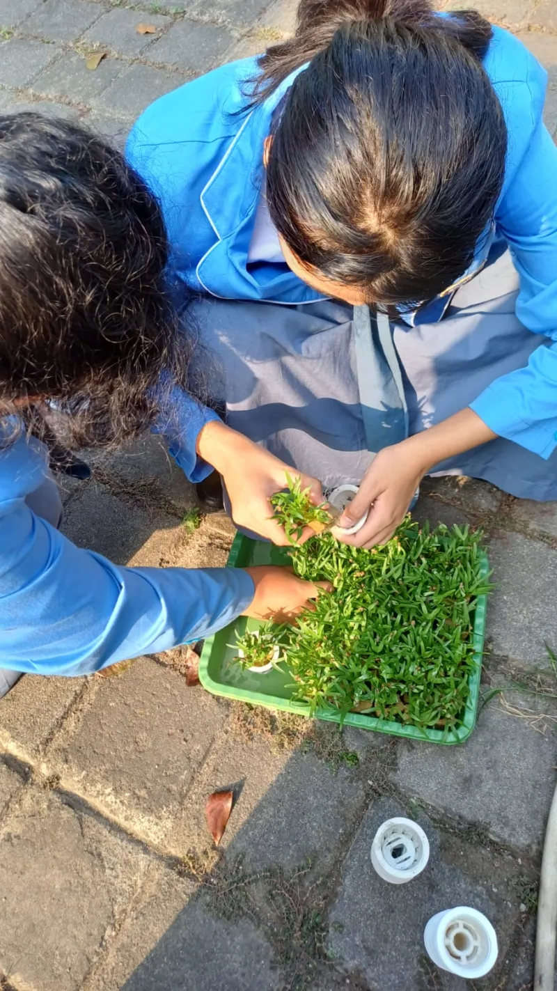Lahan Urban Farming SMKN 59 Jakarta - Gambar 127