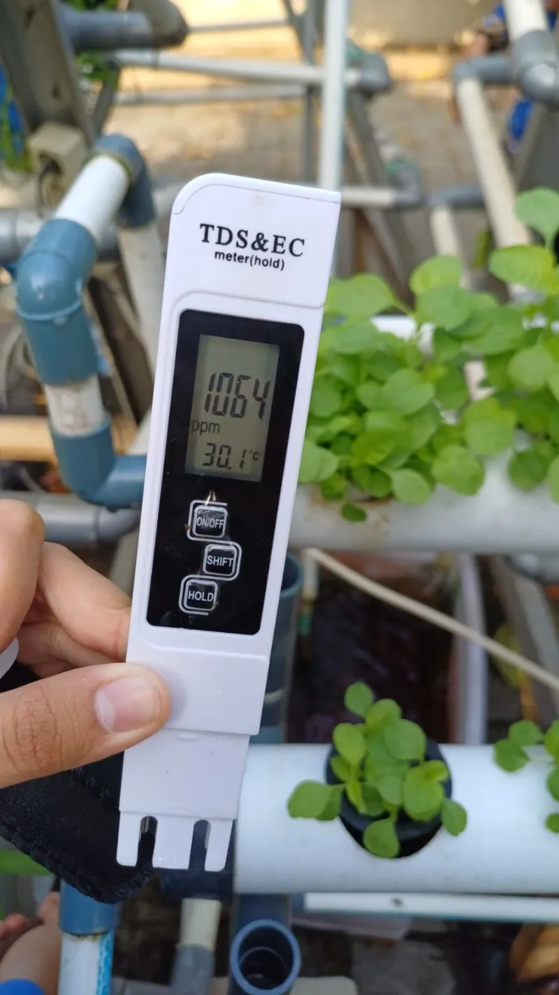Lahan Urban Farming SMKN 59 Jakarta - Gambar 125
