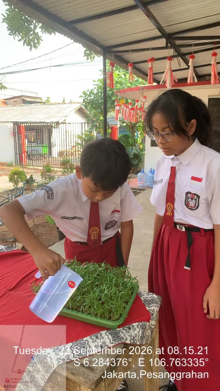 Lahan Urban Farming SDN Bintaro 09 - Gambar 83