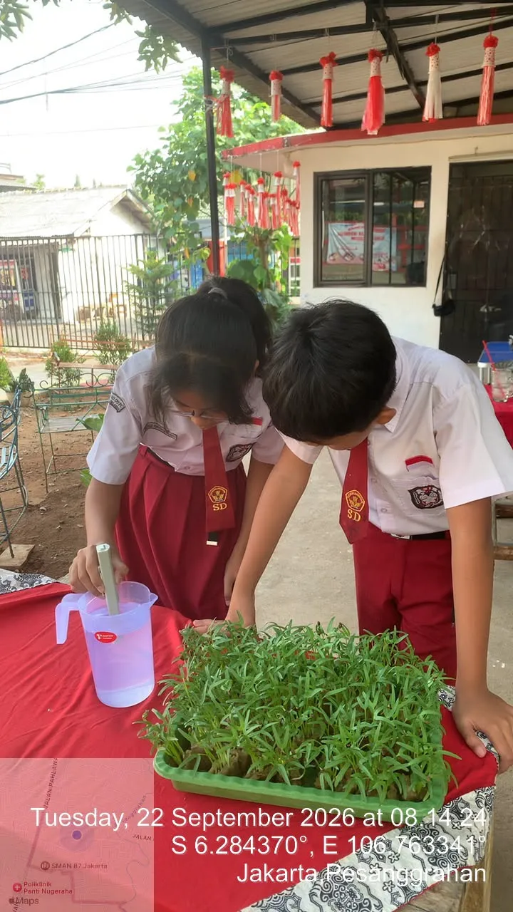 Lahan Urban Farming SDN Bintaro 09 - Gambar 84