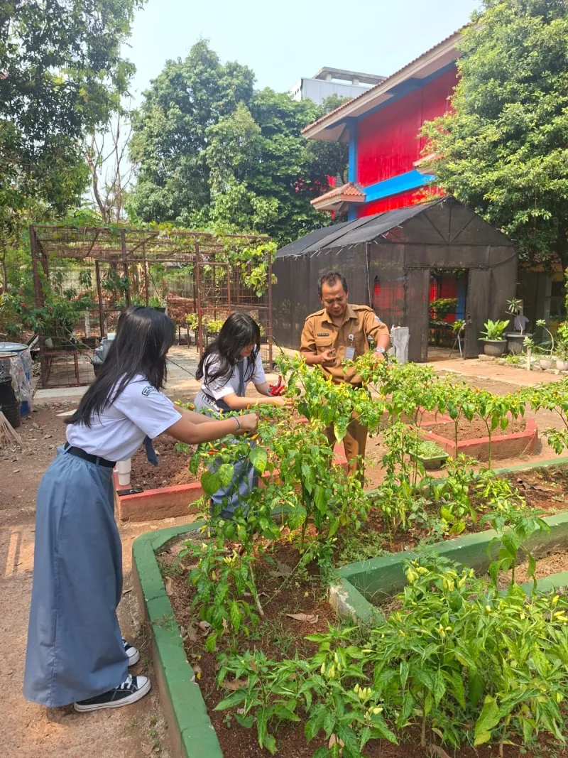 Lahan Urban Farming SMAN 109 Jakarta - Gambar 130
