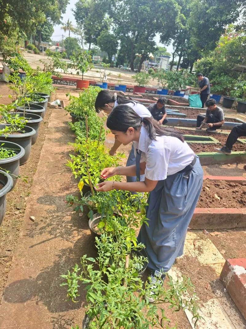 Lahan Urban Farming SMAN 109 Jakarta - Gambar 129