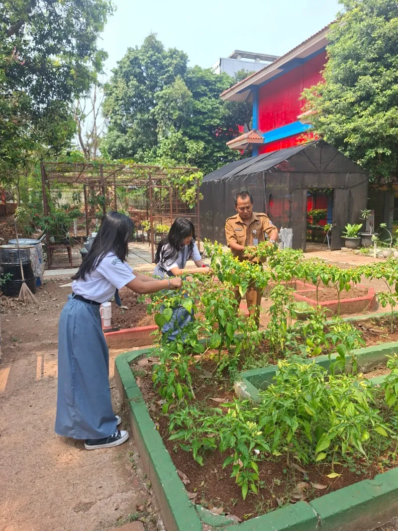 Lahan Urban Farming SMAN 109 Jakarta - Gambar 128