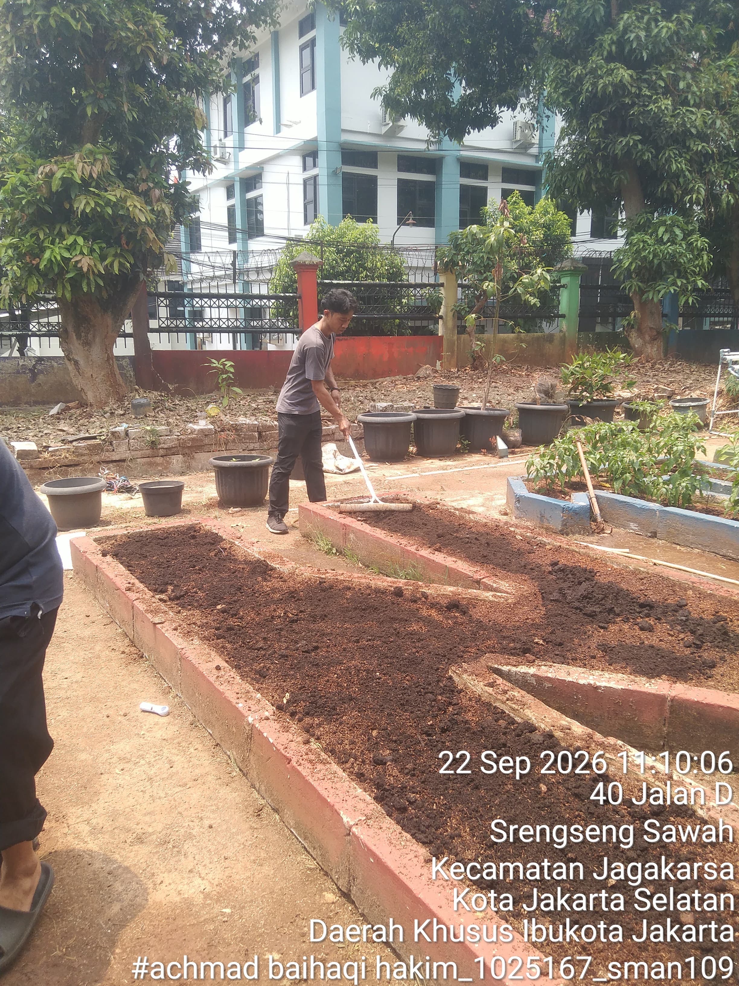 Lahan Urban Farming SMAN 109 Jakarta - Gambar 123