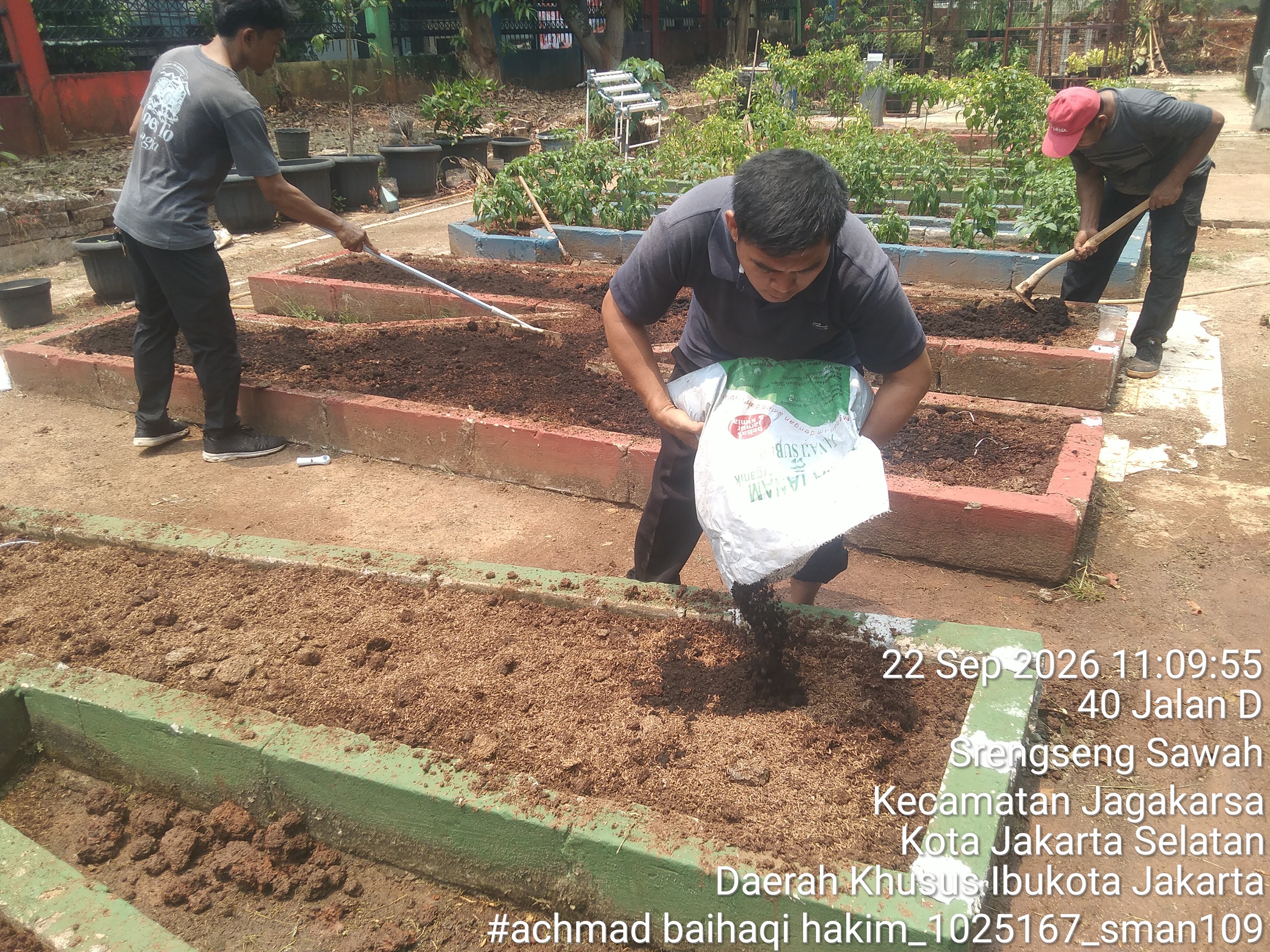 Lahan Urban Farming SMAN 109 Jakarta - Gambar 125