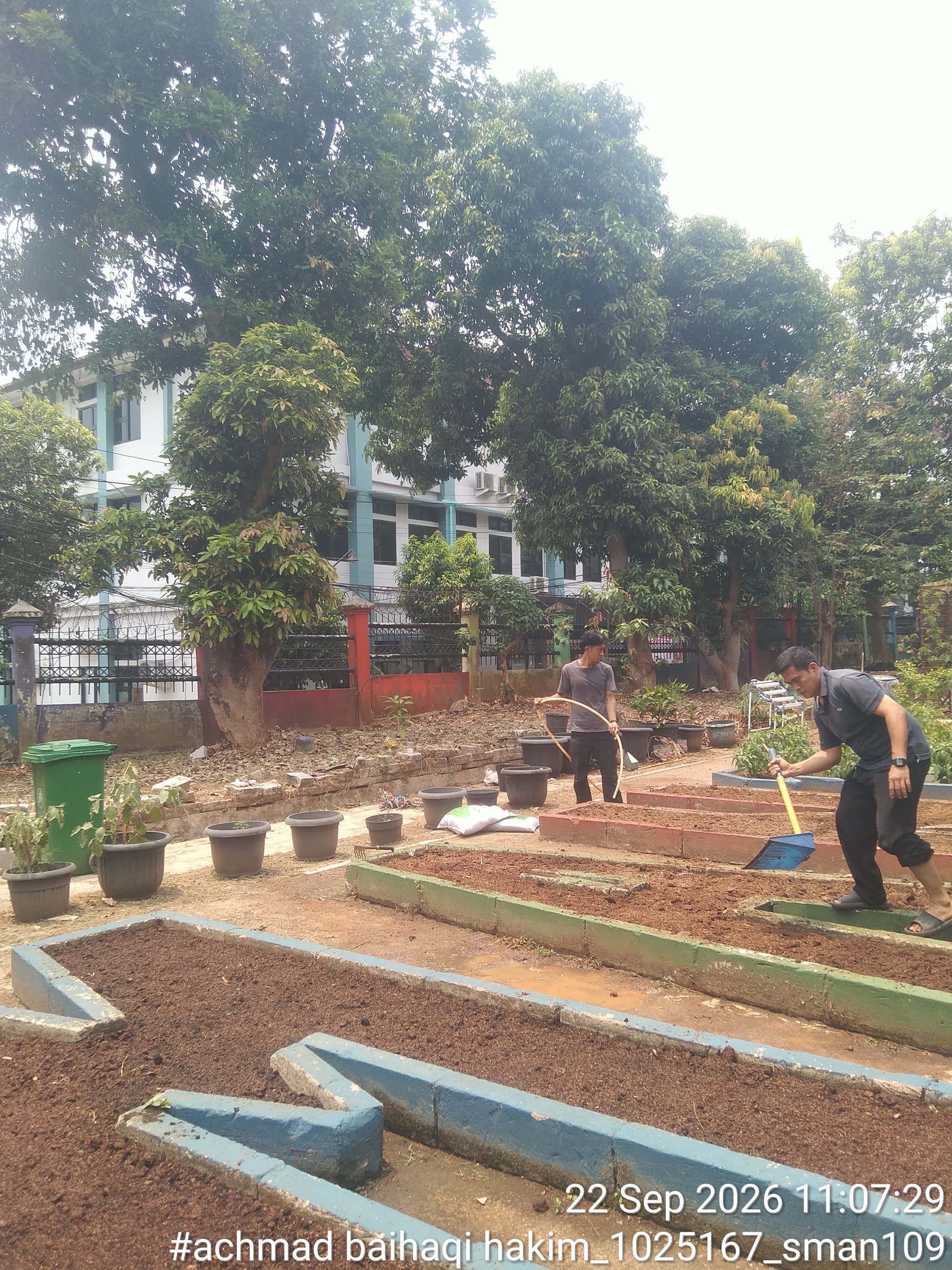 Lahan Urban Farming SMAN 109 Jakarta - Gambar 126