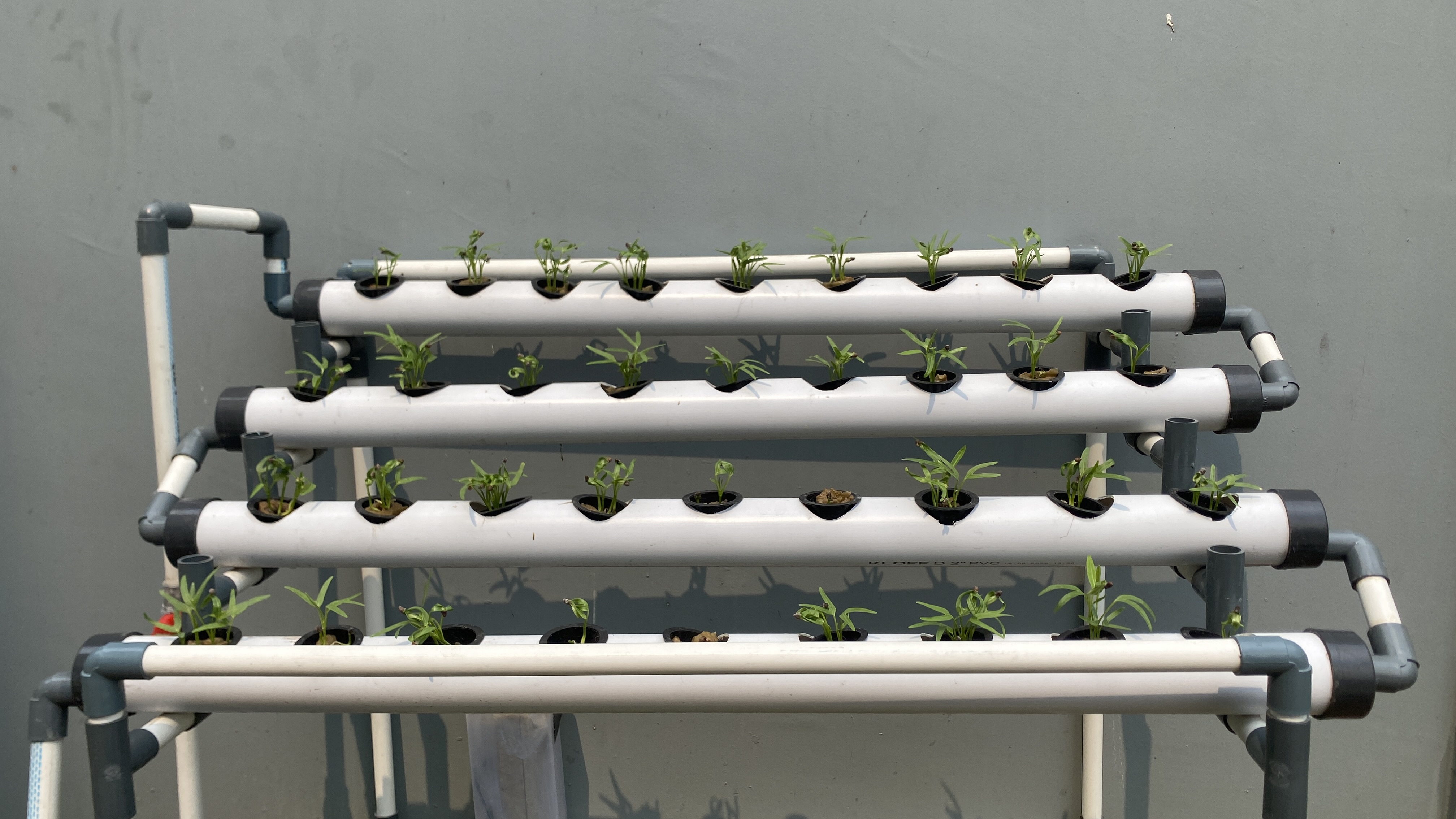 Lahan Urban Farming SDN Cipete Selatan 03 - Gambar 55
