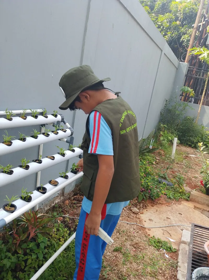 Lahan Urban Farming SDN Cipete Selatan 03 - Gambar 56