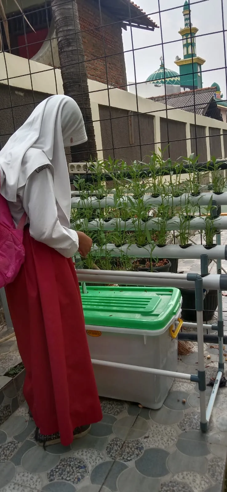 Lahan Urban Farming SDN Lenteng Agung 07 Jakarta - Gambar 57