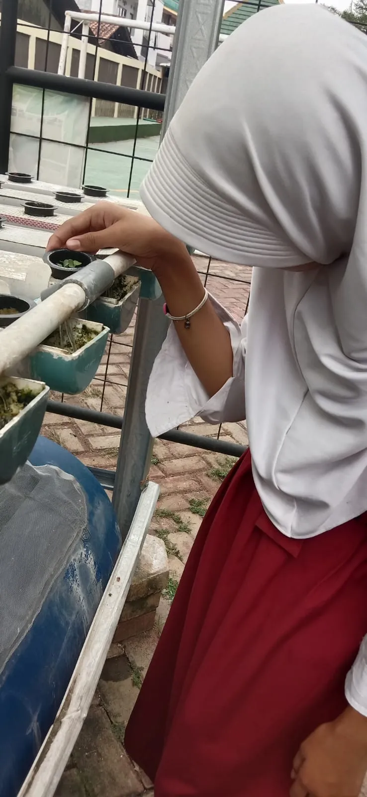 Lahan Urban Farming SDN Lenteng Agung 07 Jakarta - Gambar 56