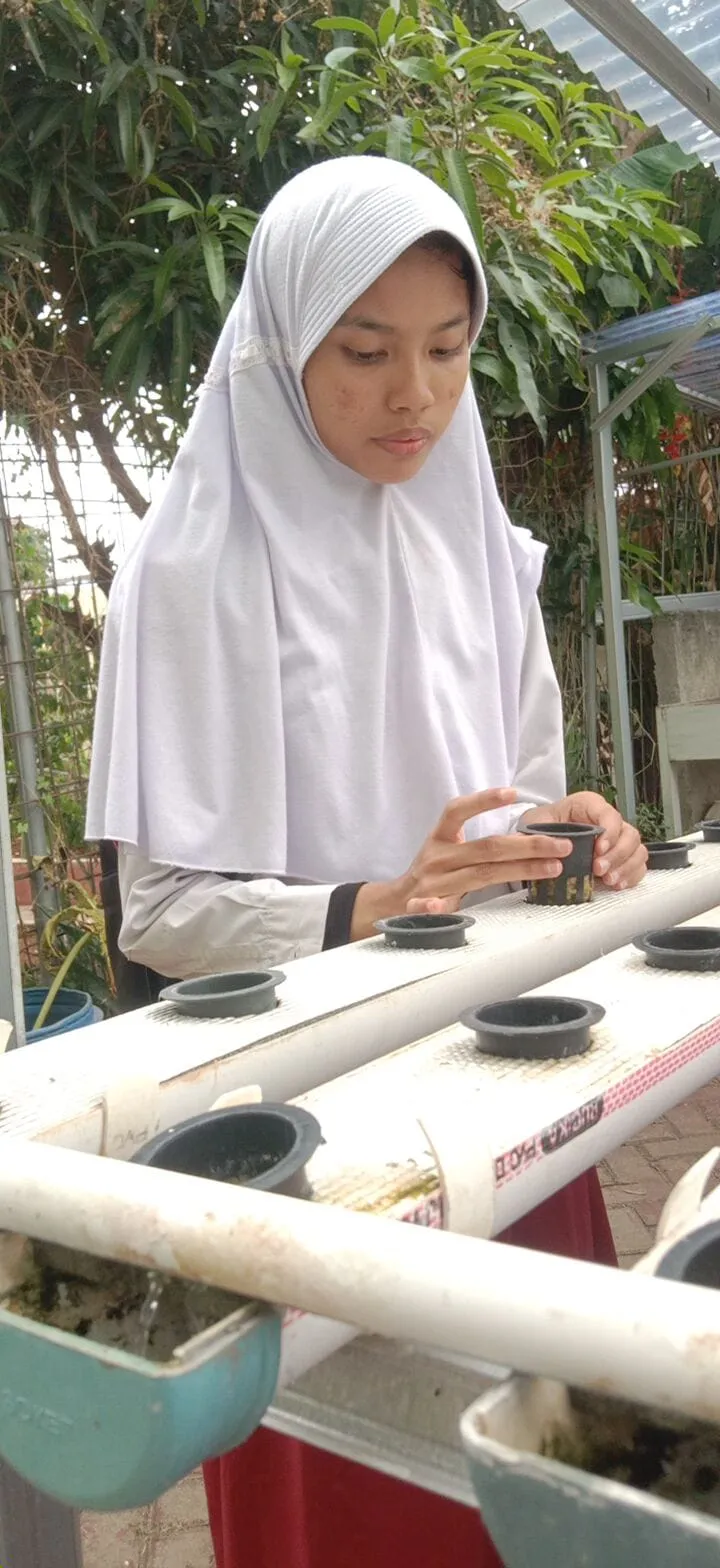 Lahan Urban Farming SDN Lenteng Agung 07 Jakarta - Gambar 55