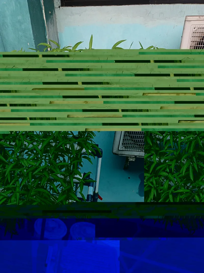 Lahan Urban Farming SMAN 34 Jakarta - Gambar 38