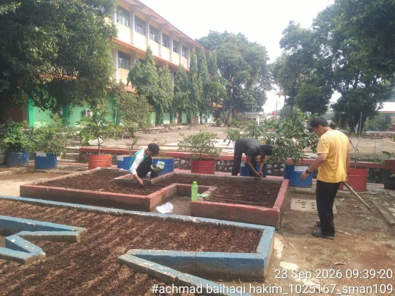 Lahan Urban Farming SMAN 109 Jakarta - Gambar 118