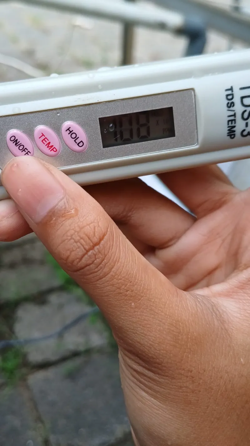 Lahan Urban Farming SMKN 59 Jakarta - Gambar 118