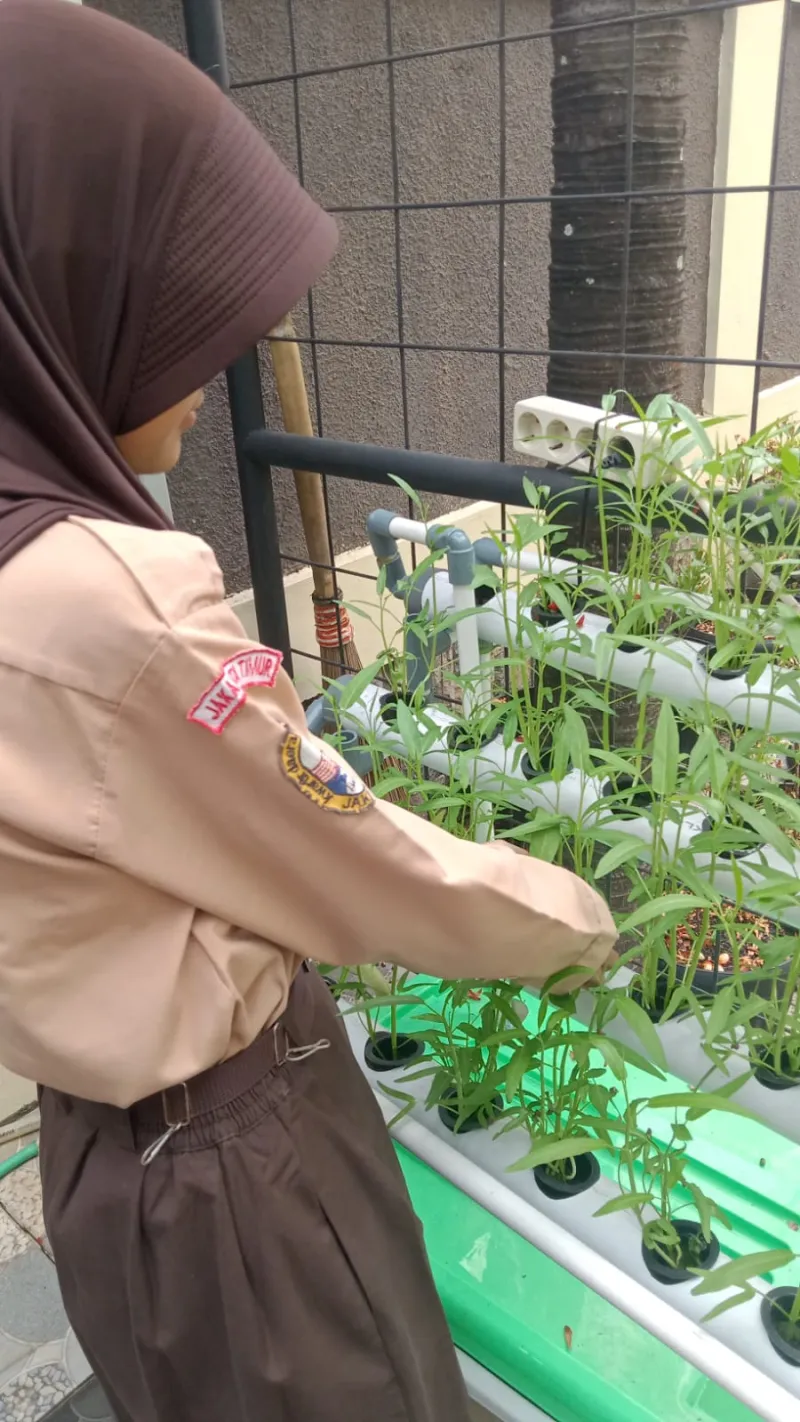 Lahan Urban Farming SDN Lenteng Agung 07 Jakarta - Gambar 54