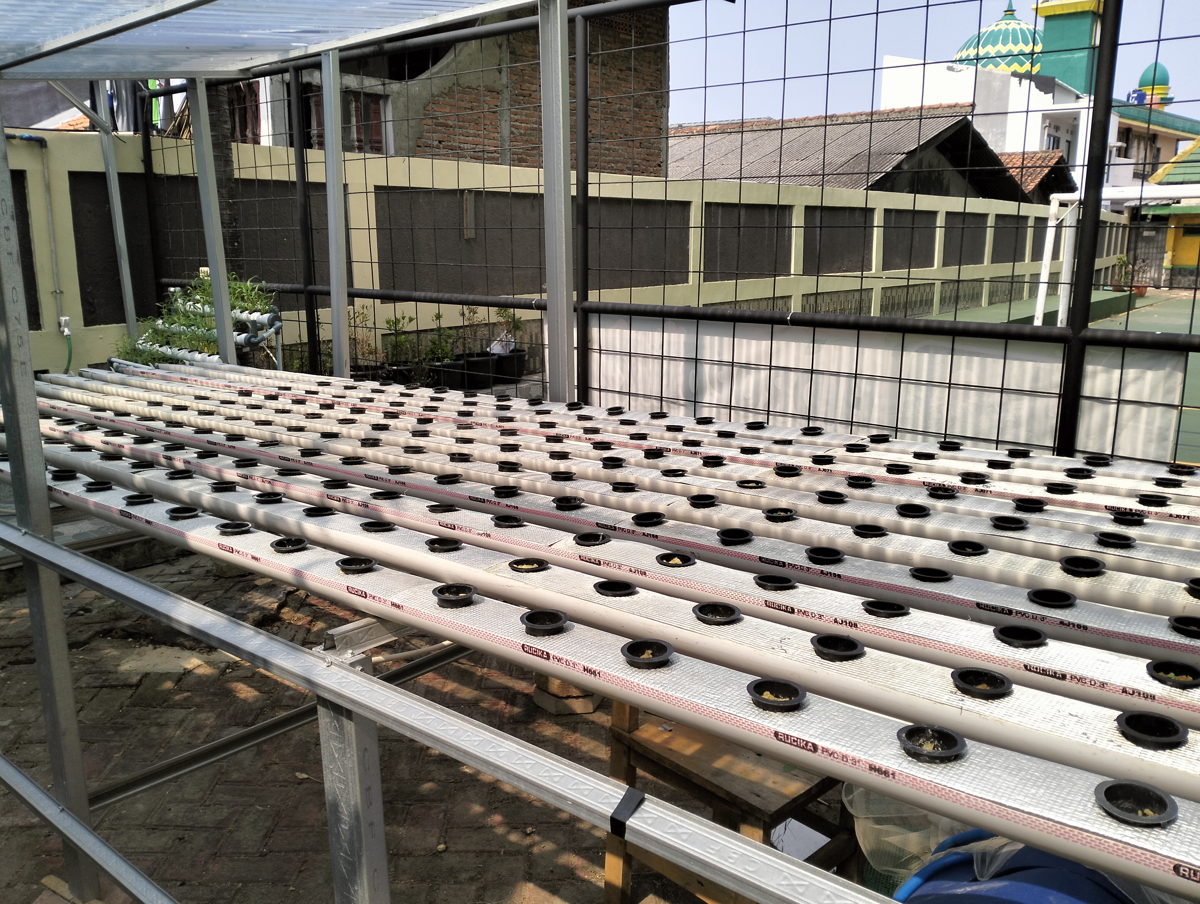 Lahan Urban Farming SDN Lenteng Agung 07 Jakarta - Gambar 51