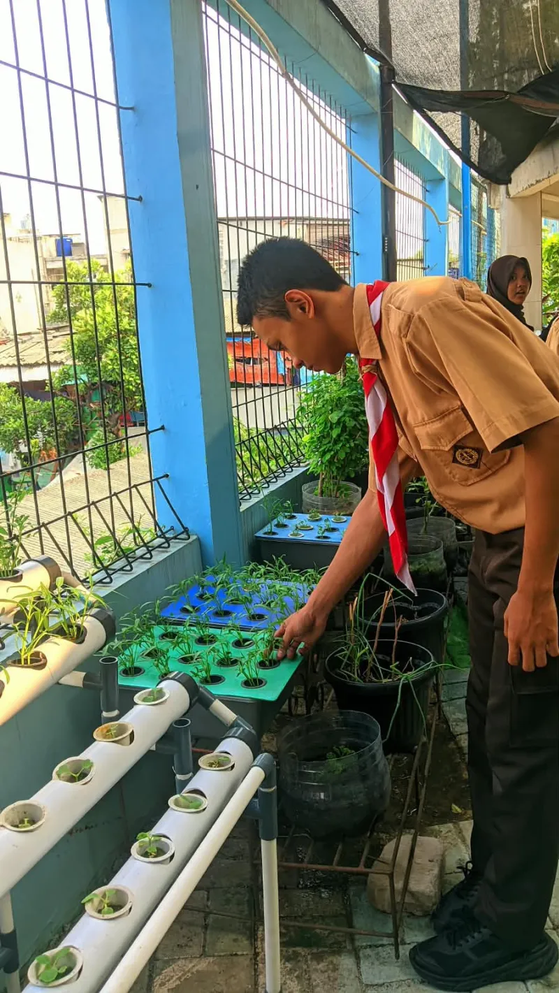 Lahan Urban Farming SMKN 43 Jakarta - Gambar 108