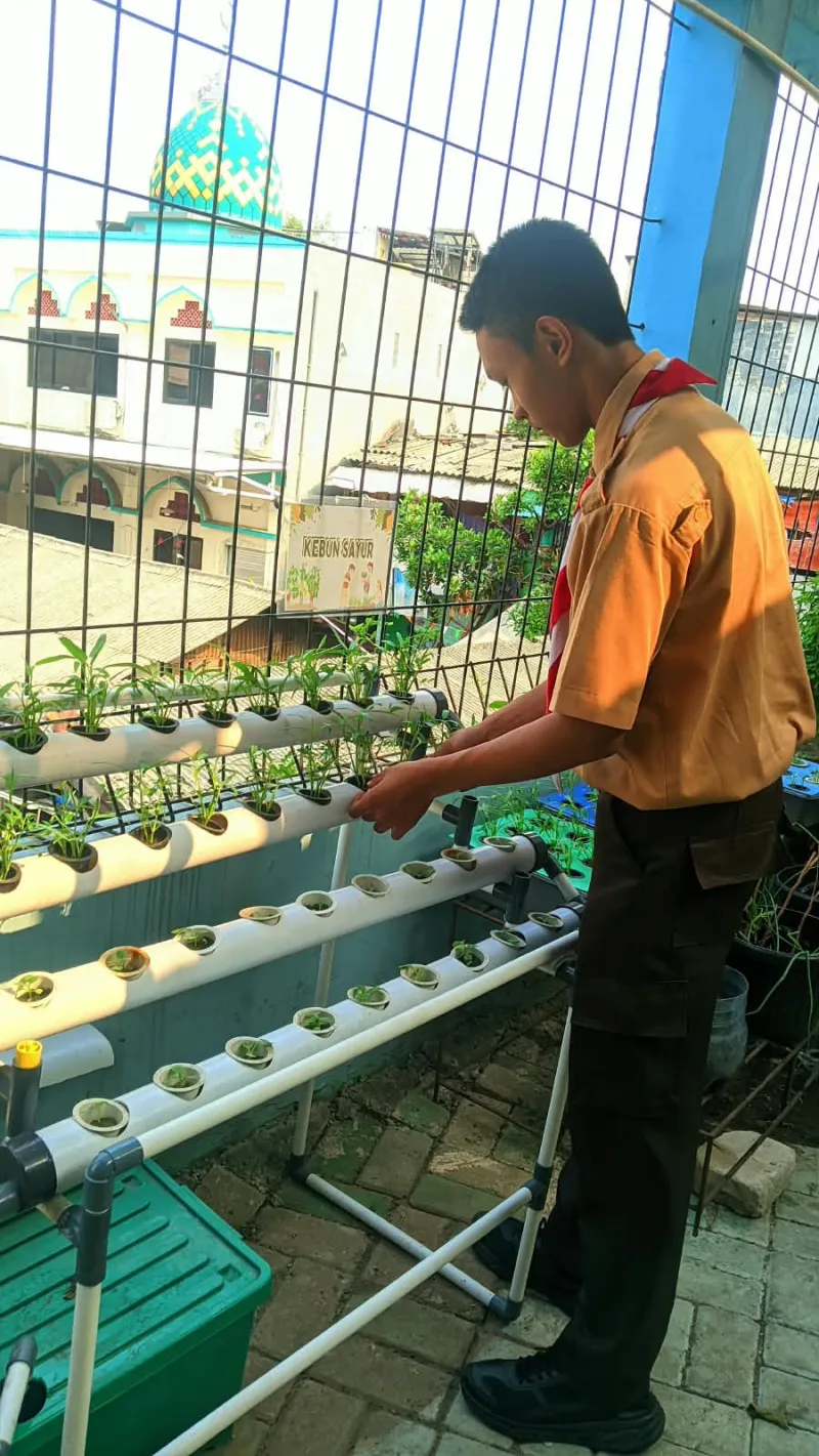 Lahan Urban Farming SMKN 43 Jakarta - Gambar 111
