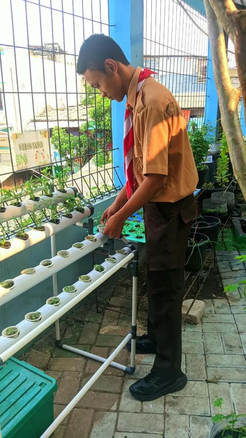 Lahan Urban Farming SMKN 43 Jakarta - Gambar 110