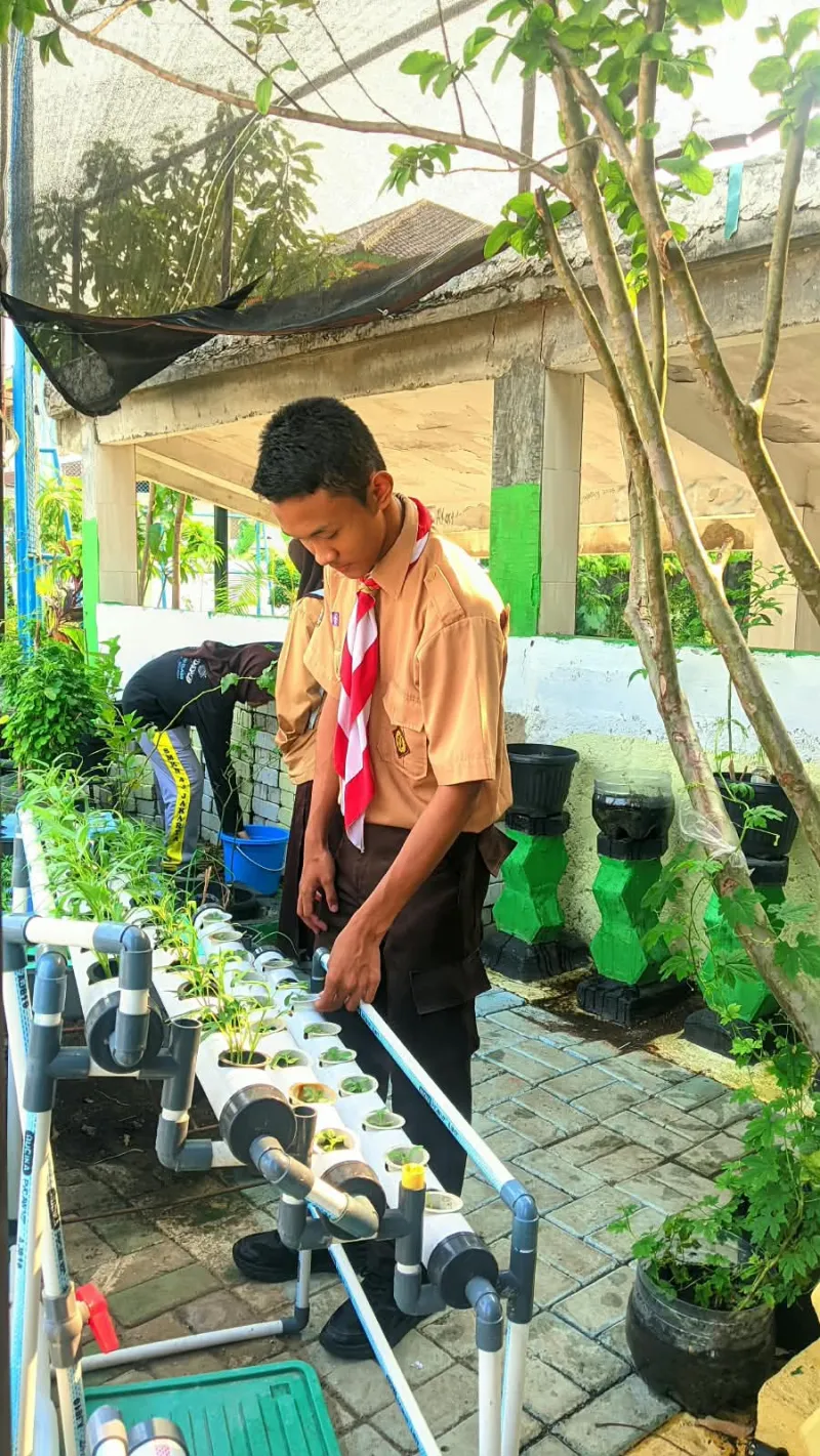 Lahan Urban Farming SMKN 43 Jakarta - Gambar 112