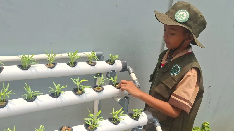 Lahan Urban Farming SDN Cipete Selatan 03 - Gambar 53