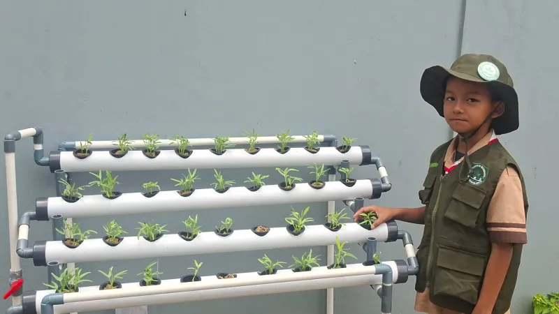 Lahan Urban Farming SDN Cipete Selatan 03 - Gambar 50