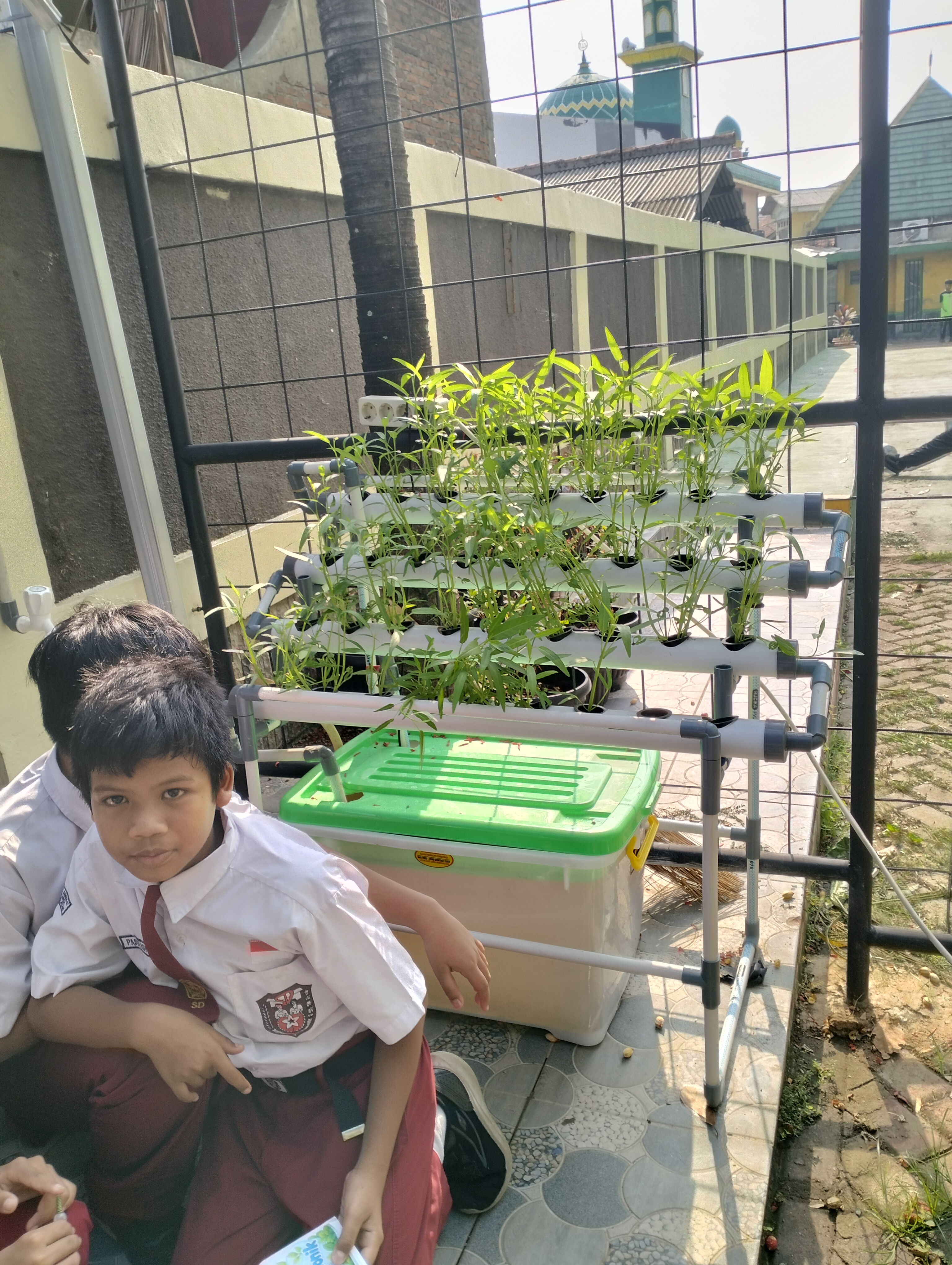 Lahan Urban Farming SDN Lenteng Agung 07 Jakarta - Gambar 49