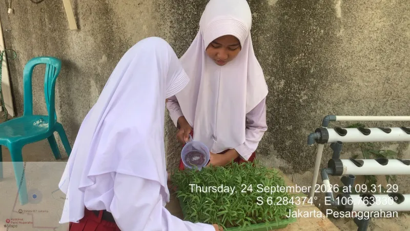 Lahan Urban Farming SDN Bintaro 09 - Gambar 81