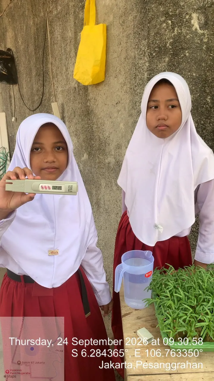 Lahan Urban Farming SDN Bintaro 09 - Gambar 80